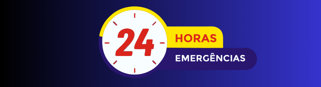 Dedetizadora Plantão de 24 Horas  24 HORAS